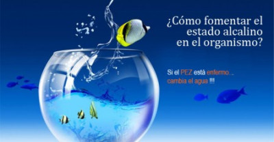 La célula vive como un pez en su acuario. Su vida depende de la pureza del agua en la que nada.
