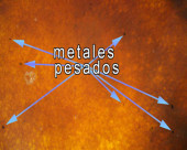 1077_desintoxicador