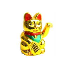0-2122_0-1715_1431_gato1